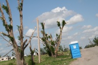 Notice the trees and portable bathrooms