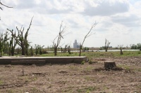 Some parts of town smell like broken wood and others smell like death