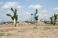 And the tress are still full of debris