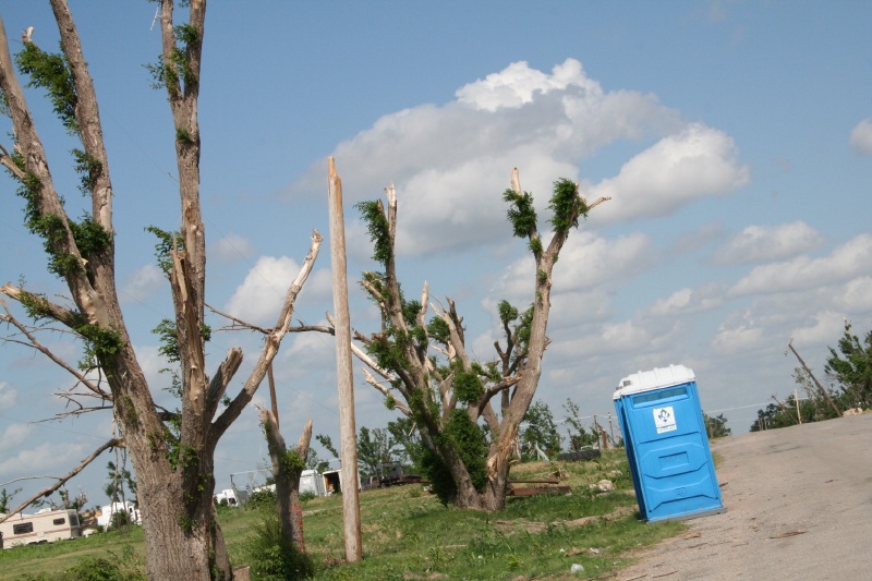 Notice the trees and portable bathrooms