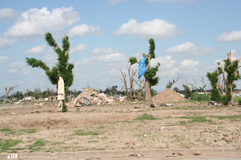 And the tress are still full of debris