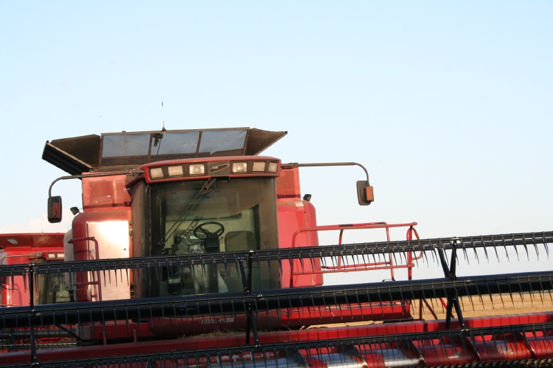 Freckles in the combine