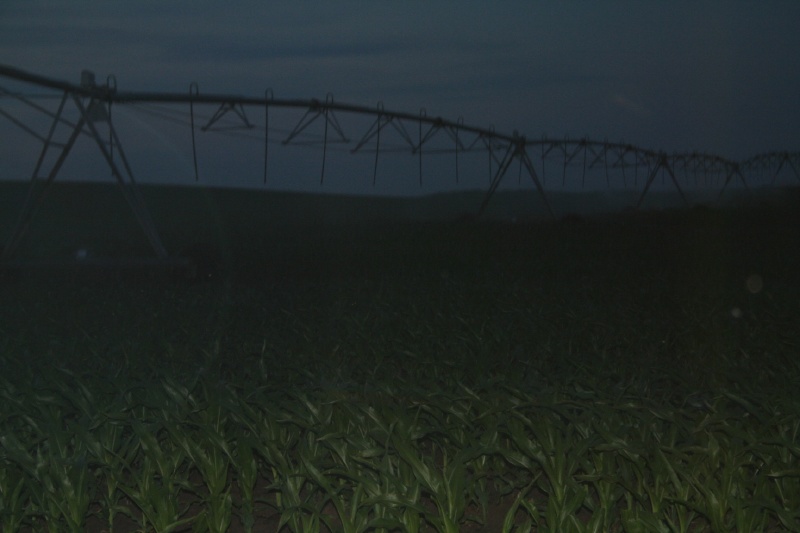 Kim and I check the pivots