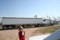 Saving the grain