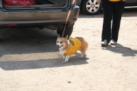 Her dog