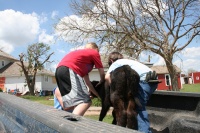 Katelynn and Jacob get it out of pickup