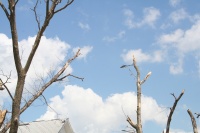 Helicopter seems to fly constantly...still wondering why after all these days