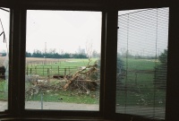 Another pic from the day after