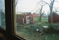The day after