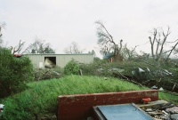 Her backyard