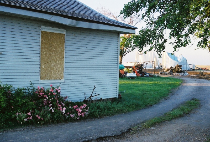 Beside the destruction are the flowers