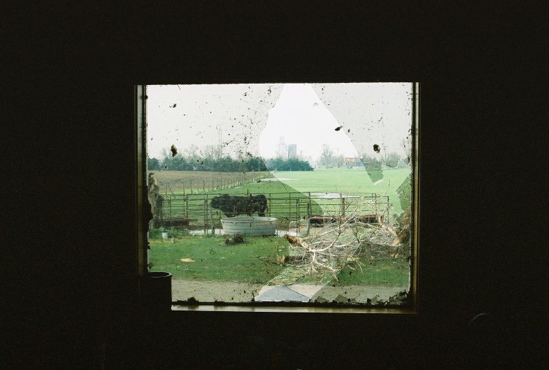 From her kitchen window the morning after