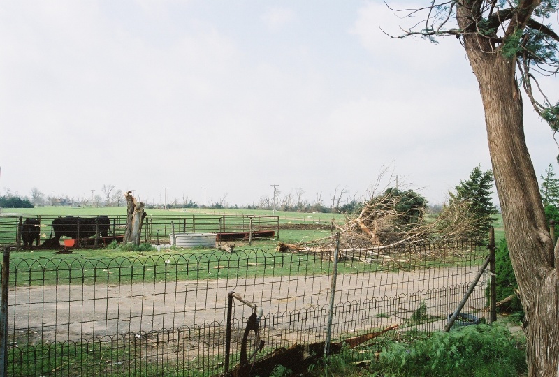 And a long way to go to repair all the fence