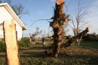 Kasey yells at me to come look at this tree...notice the horizontal slashes
