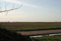 Their irrigation system is upside down.