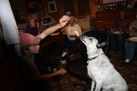 Their dog, Freckles, is still a bit shaken up