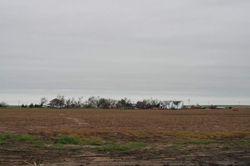 Arriving Back at the Farm