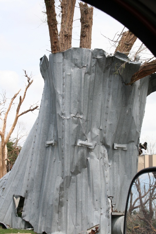 Tin Wrapped Around a Tree