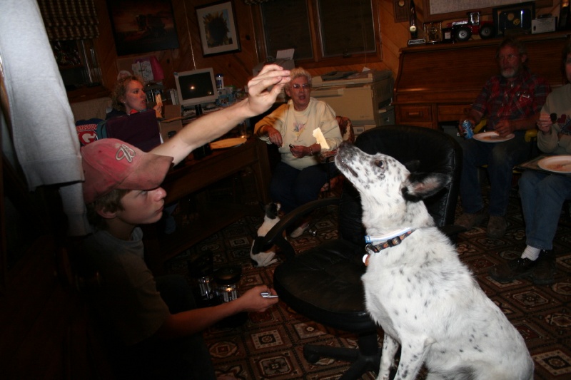 Their dog, Freckles, is still a bit shaken up