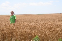 Katelynn in the field