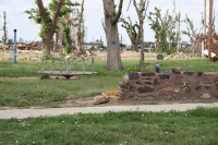 The Park
