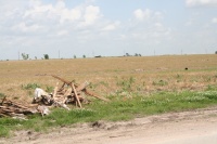 And walkers have been putting debris in to piles...