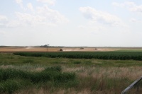 Cut field and corn beside is growing