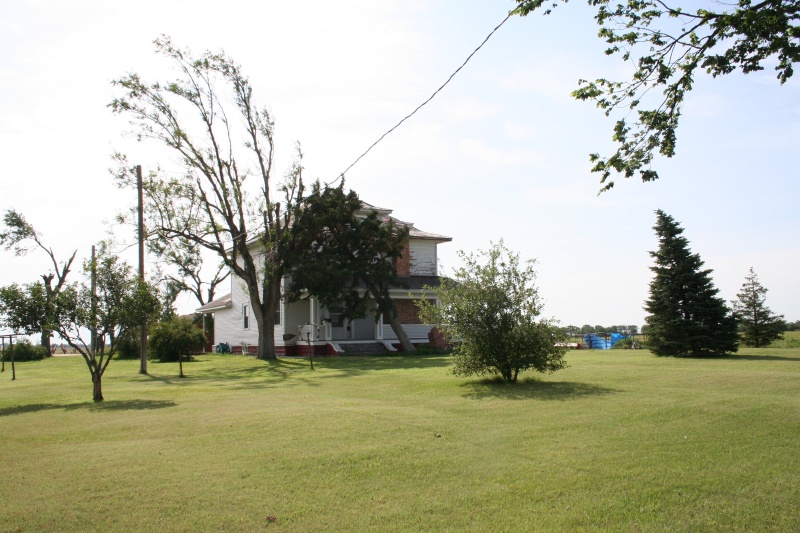 Kim's house and her Dr. Seuss tree