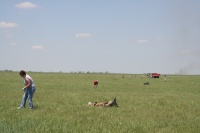 Back at the fields, the work continues as I run yet another errand