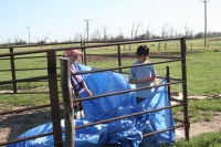 Katelynn and Jacob bring shade to the calves