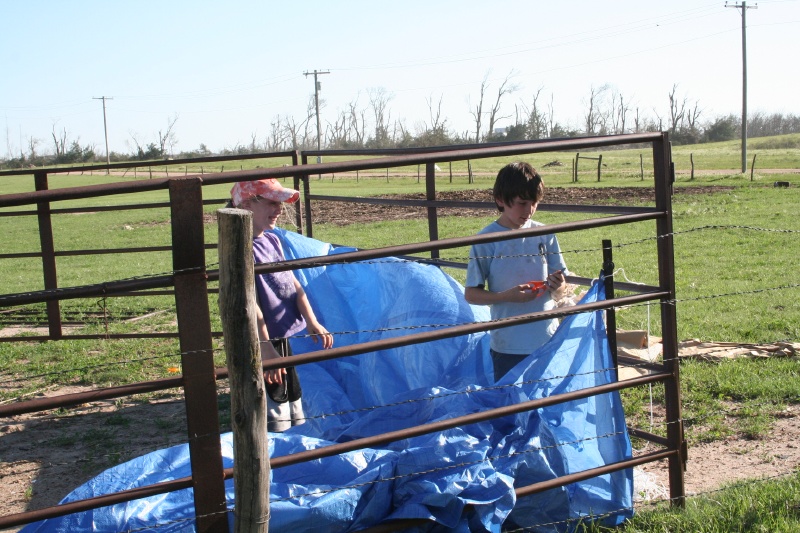 Katelynn and Jacob bring shade to the calves