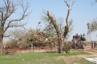 This is the third burn pile and the tallest, but probably not the largest