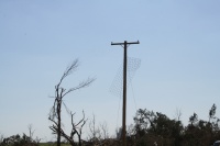 While in other parts of town, poles are still wrapped with things