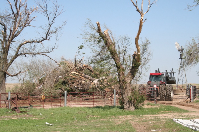 This is the third burn pile and the tallest, but probably not the largest