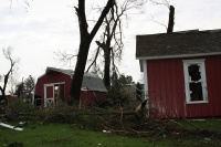 No Trees Survive