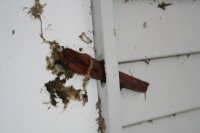 Another Example as the Winds are Not Straight Line and Can Do Anything