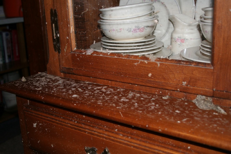 China Hutch Survives