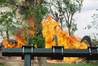 The few trees we have left are too close to the burning for my comfort