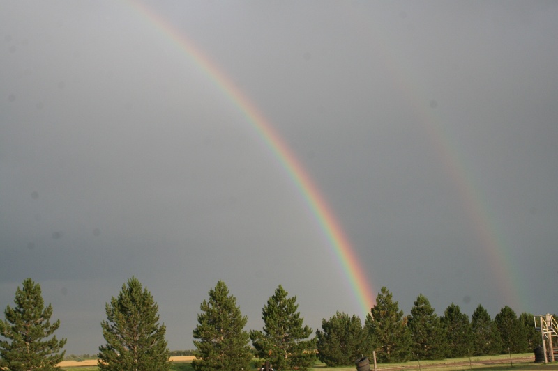 Double Rainbow
